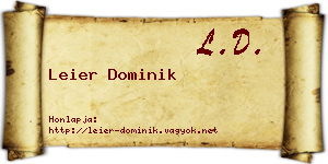 Leier Dominik névjegykártya